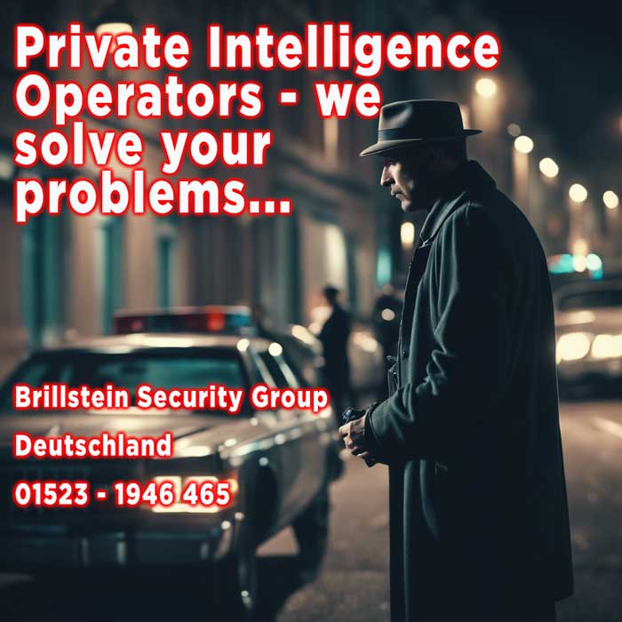 Brillstein Security Due Diligence Compliance Services